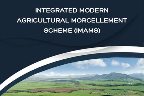 morcellement scheme